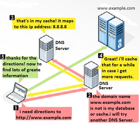 DNS