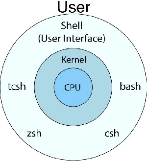 What is The Shell?