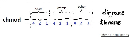 using ocatl codes