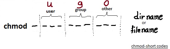 using short codes