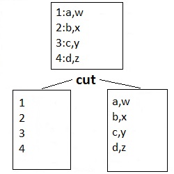 cut based on a delimiter