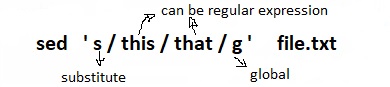sed command