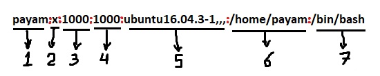 passwd file