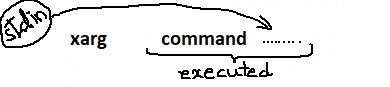 xargs command